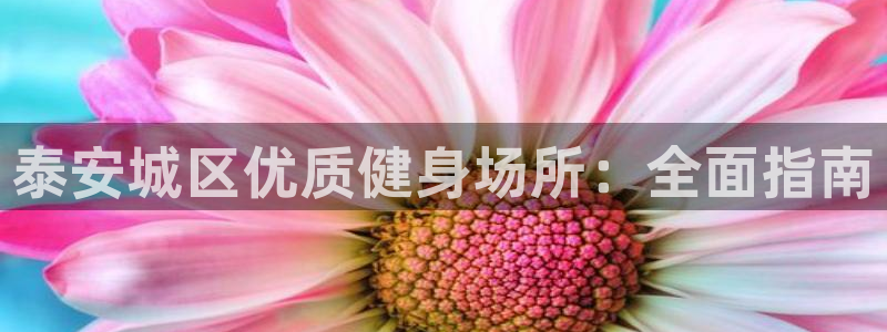 尊龙凯时返现
