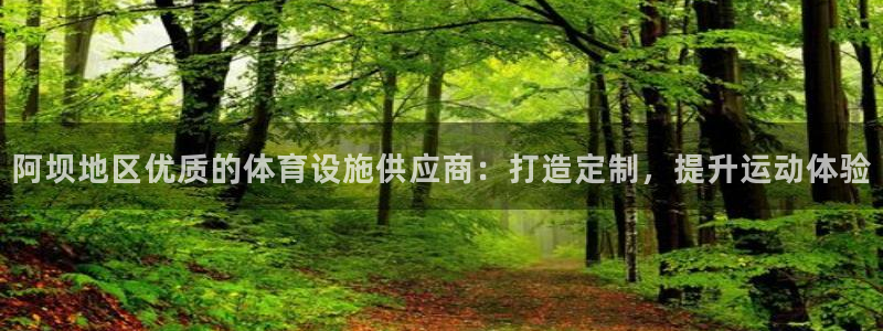 尊龙凯时干什么的