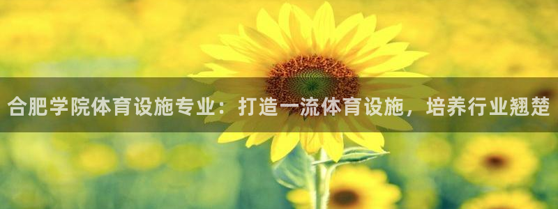 凯时最新官方APP下载