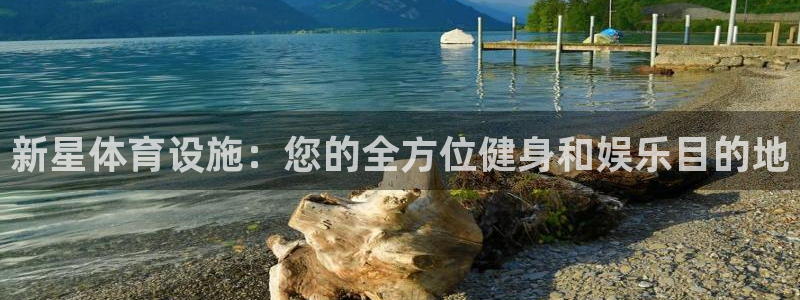 尊龙体育怎么样