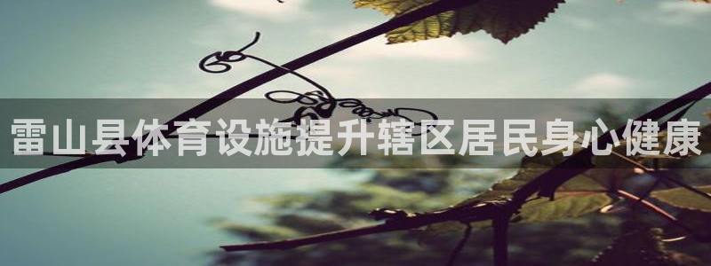 尊龙手机客户端app