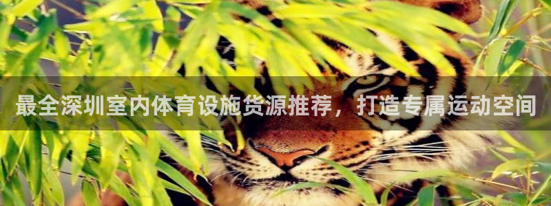 尊龙凯时下载官方正版