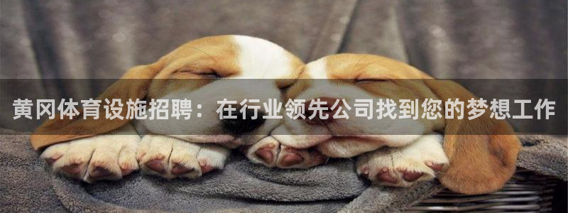 尊龙凯时开发
