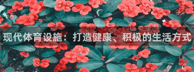 凯时k8官网首页