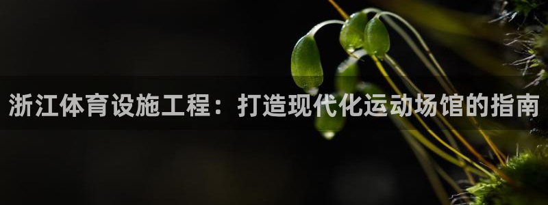 尊龙凯时输钱的原因