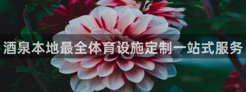 尊龙凯时人生就是搏技术实力
