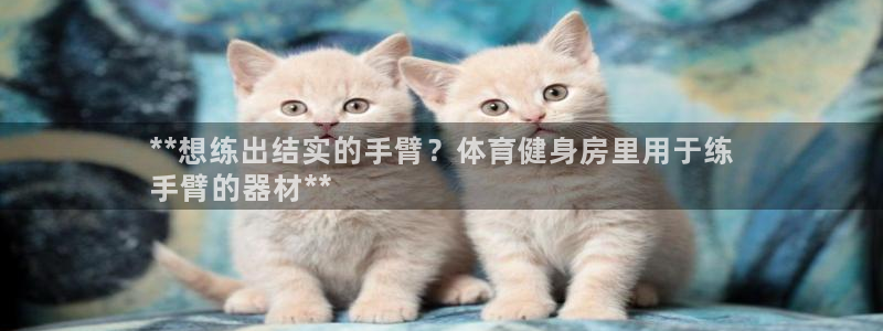 尊龙手机官方客户端下载