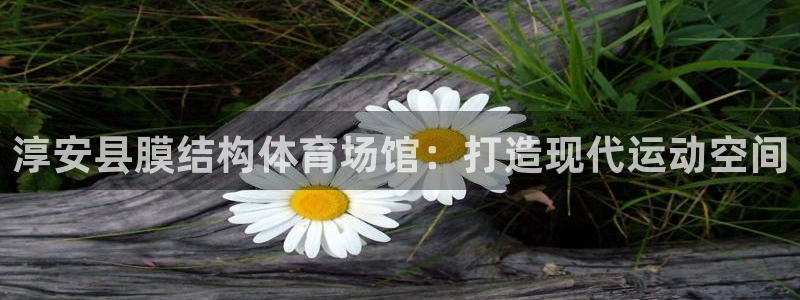凯时官网手机版首页