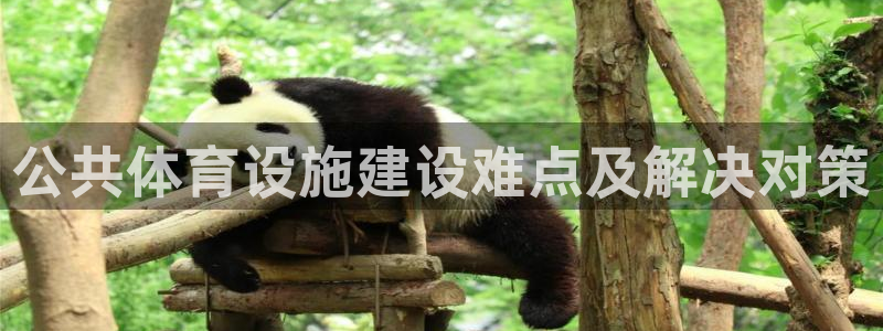 凯时kb88公司简介