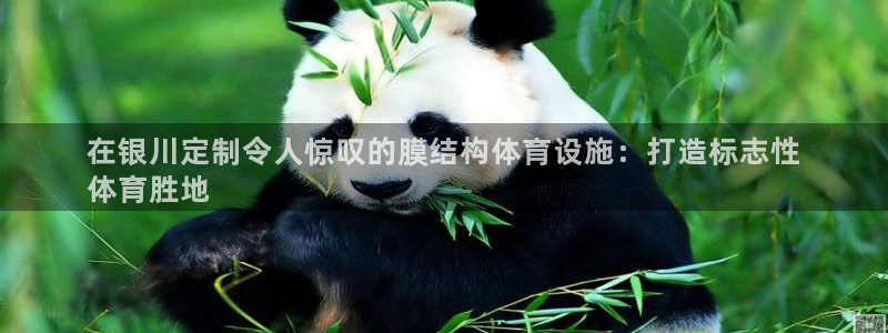 尊龙官网网站