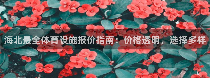 尊龙网站登录