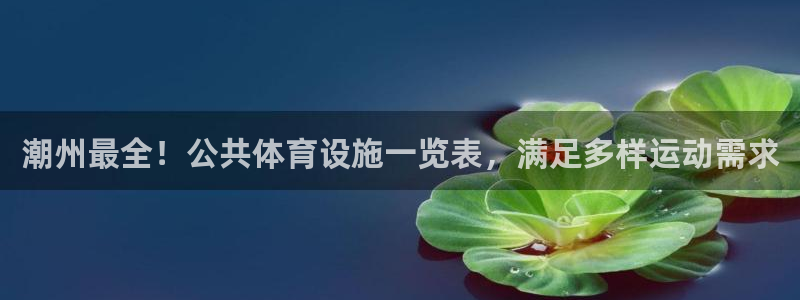 尊龙凯时平台还是万博好