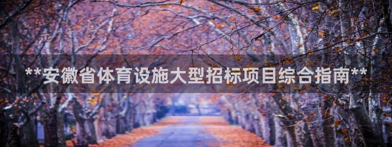 尊龙体育正规么