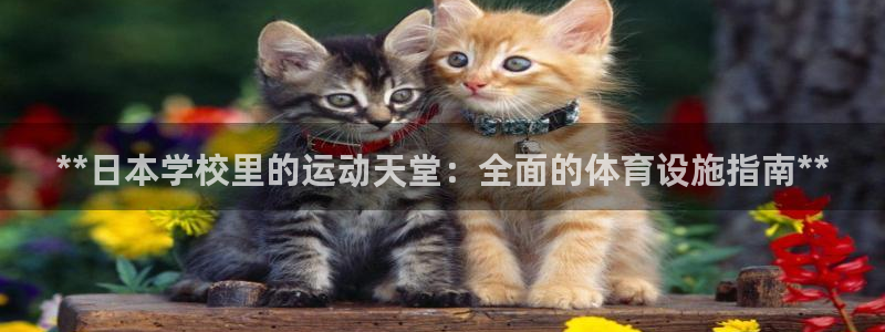 尊龙凯时 人生就是搏客服