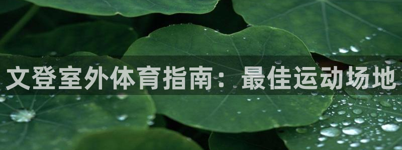 尊龙d88现金旧版本