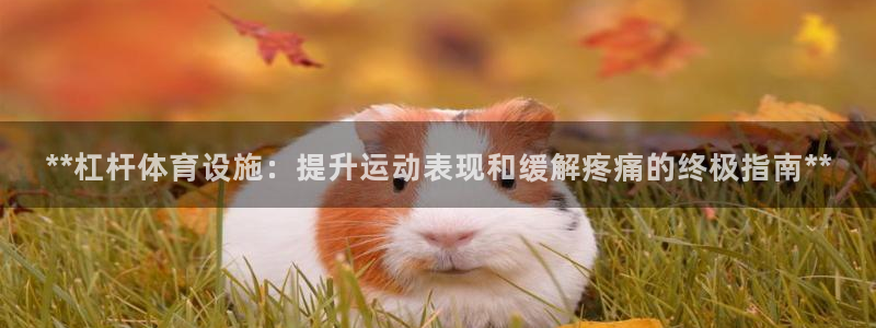 凯时ag旗舰厅登录