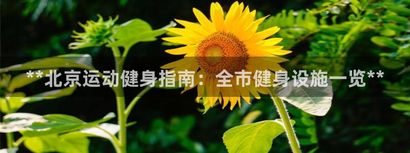尊龙人生就是博电脑版
