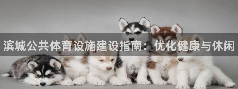 凯时国际官方版