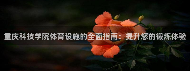尊龙手机端下载