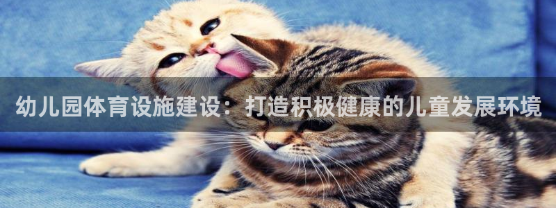 尊龙凯时平台有没有不到账的