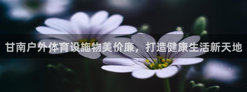尊龙凯时平台还是万搏好