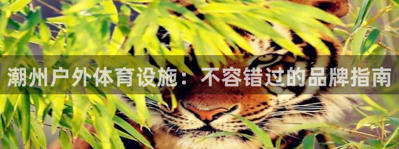 尊龙凯时平台怎么样