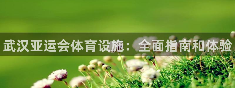 尊龙官网下载