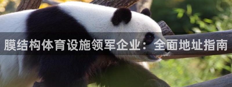 尊龙凯时有限公司