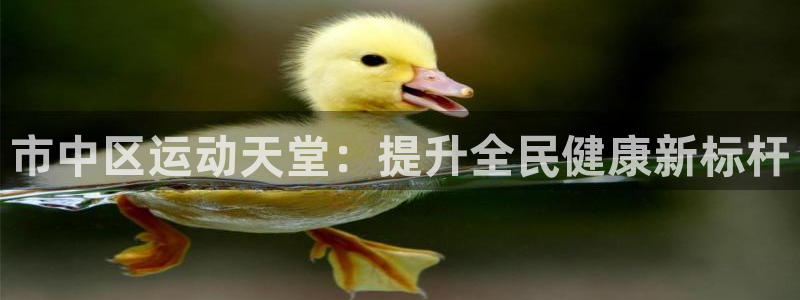 尊龙凯时产品系列