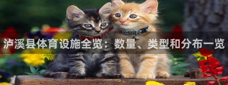 尊龙eight is enough