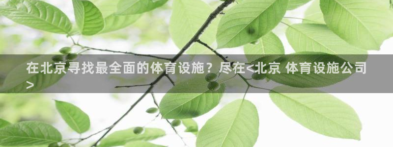 尊龙凯时注册