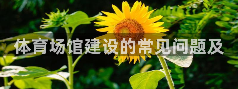 d88尊龙手机客户端下载