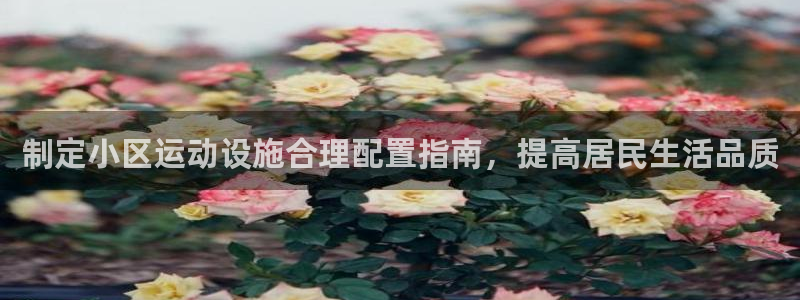 尊龙人生就是博旧版现金娱乐一下