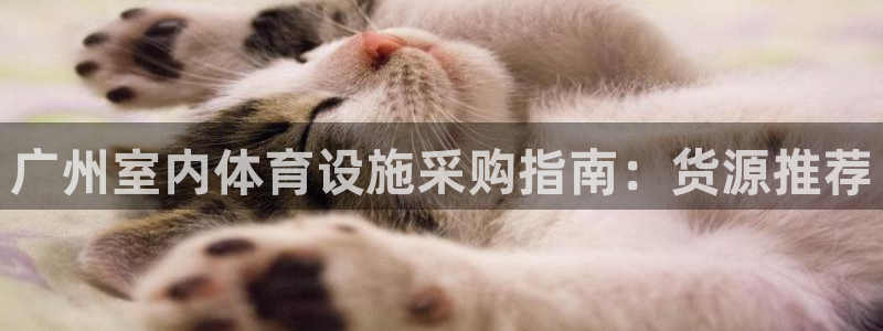 尊龙凯时的企业文化