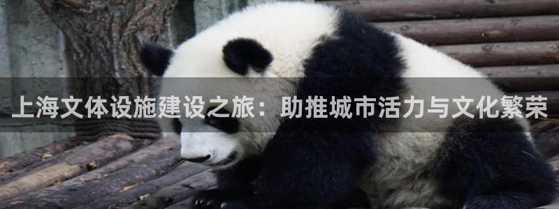 尊龙人生就是博首页