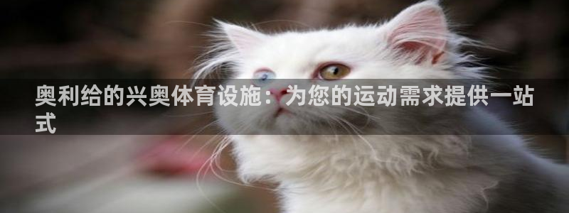 尊龙人生就是博登录