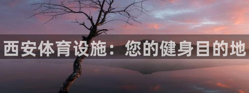 尊龙注册码