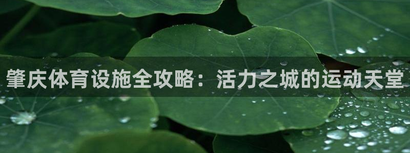尊龙官方