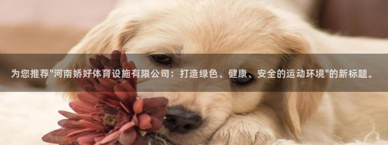 尊龙人生就是博登录首页