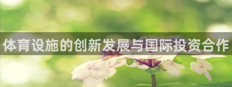 KB88凯时官网