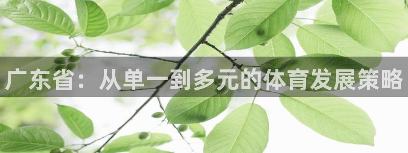 尊龙人生就是博管网