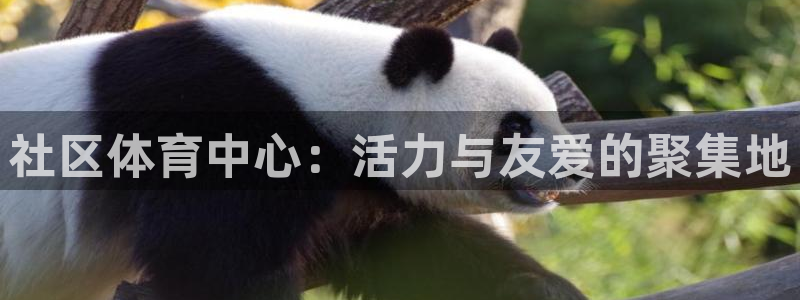 尊龙凯时新闻