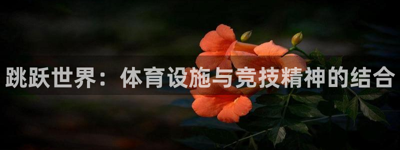 尊龙凯时 - 人生就是搏!提款怎么样