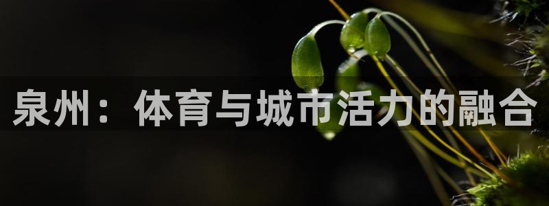 凯时国际app首页登录