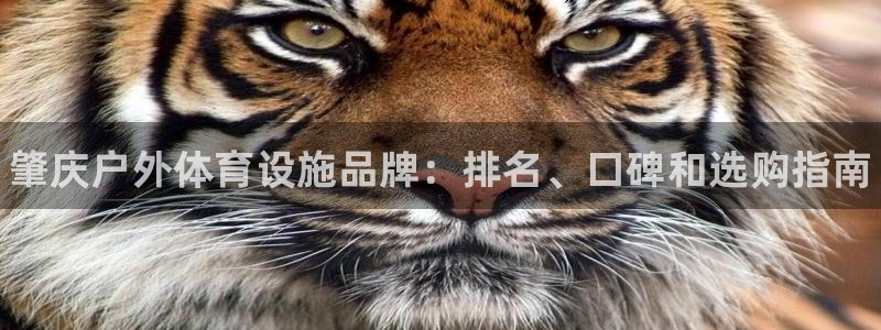 尊龙新版app首页