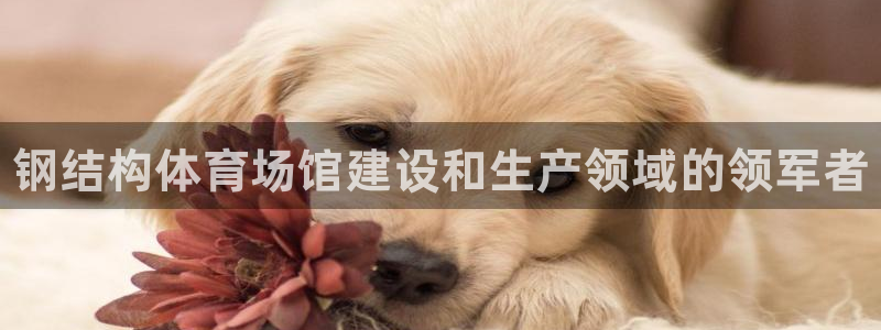 尊龙凯时取钱很慢