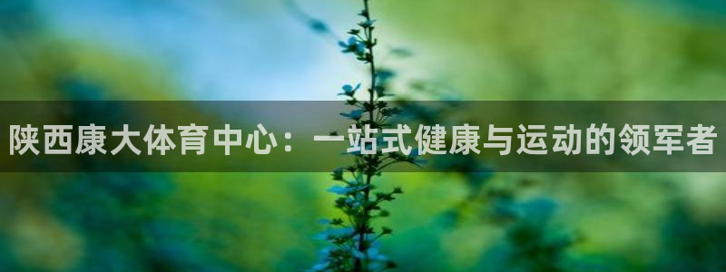 尊龙官方app下载