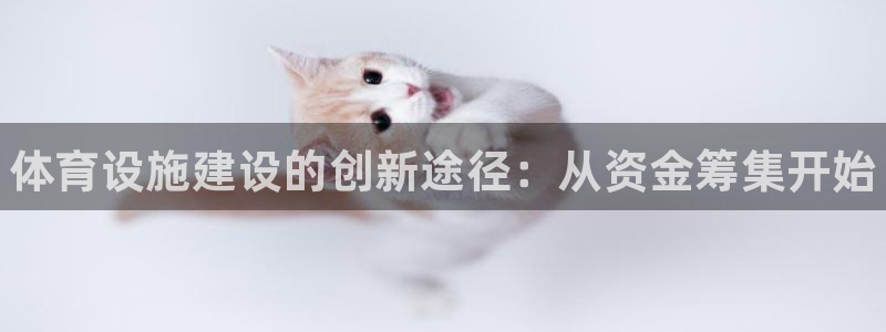 凯时官网手机版下载