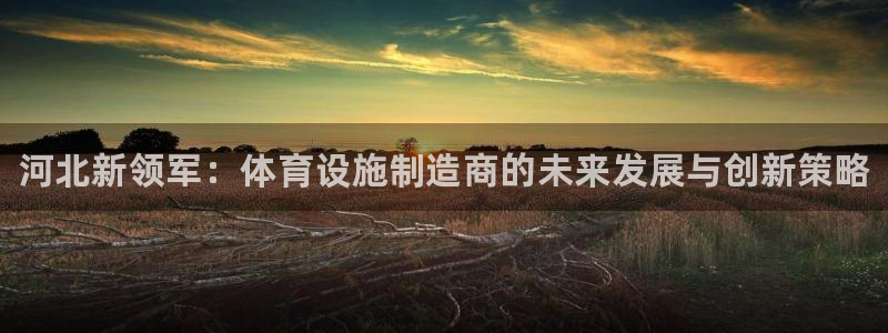 尊龙t300和t400哪个好