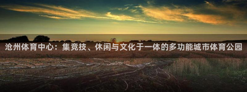 尊龙版末代皇帝